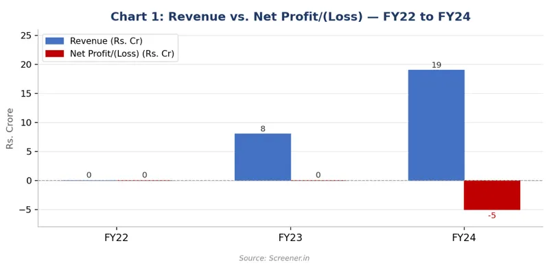 Revenue vs. Net Profit/(Loss)